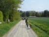 Pilgern 009